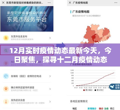 今日聚焦，探寻十二月疫情动态的新篇章，实时疫情动态更新报告