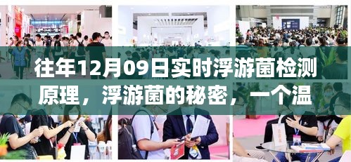 浮游菌探秘之旅，实时检测原理与日常探秘之旅