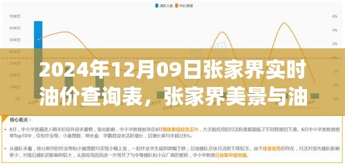 张家界油价查询表与美景探索，寻找内心平静的油价之旅
