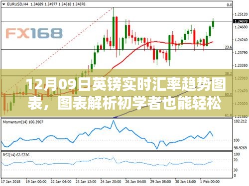 12月09日英镑实时汇率趋势图表详解与初学者指南
