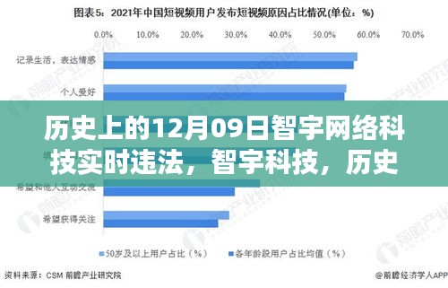 智宇网络科技违法事件，前沿科技革新瞬间回顾与反思