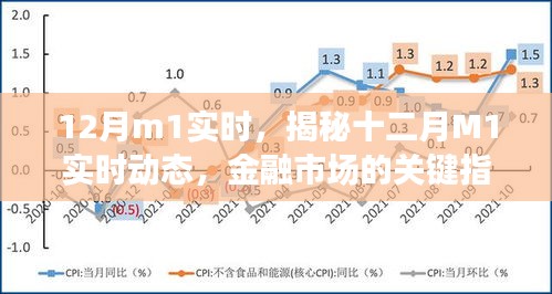 揭秘十二月M1实时动态，金融市场关键指标深度解析