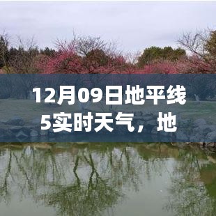 地平线5实时天气下的自然探索之旅，心灵宁静与乐趣的追寻