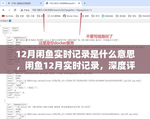 闲鱼12月实时记录深度解析与评测，了解背后的故事与细节