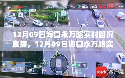 寥若晨星 第3页