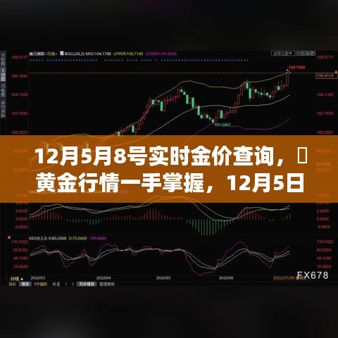 12月5日至8日实时金价查询，深度评测与介绍，掌握黄金行情