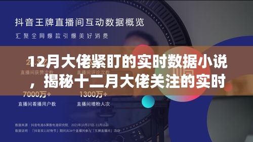 揭秘十二月大佬关注的实时数据小说，数字背后的故事深度剖析