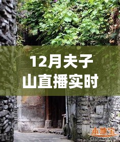 探寻夫子山深处，直播带你领略隐藏的小巷秘境与风味