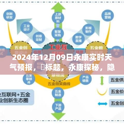 永康探秘，巷子深处的天气与美食奇遇（2024年12月9日实时天气预报）