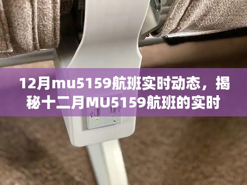 揭秘十二月MU5159航班实时动态，飞行追踪与独家体验分享