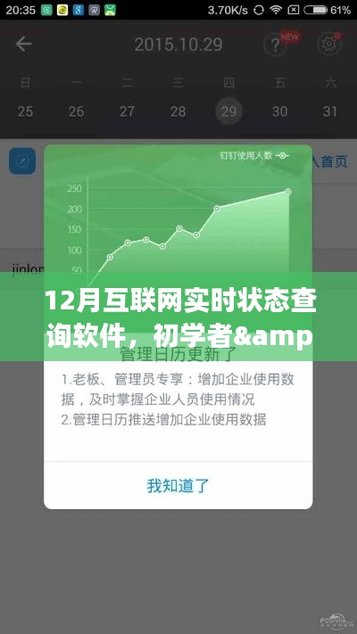 初学者与进阶用户通用，12月互联网实时状态查询软件使用详解与指南