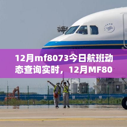 12月MF8073航班实时动态查询全攻略，从初识到精通