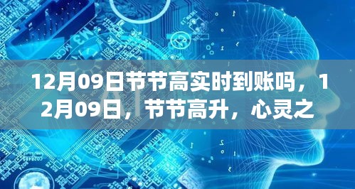 12月09日节节高实时到账与心灵启程之旅，投资与成长并行的启程时刻