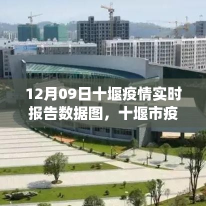 12月09日十堰市疫情实时报告数据图解析，疫情态势分析与解读