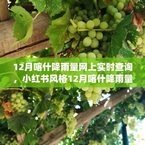 小红书风格，12月喀什降雨量实时查询指南，掌握天气变化，无忧出行