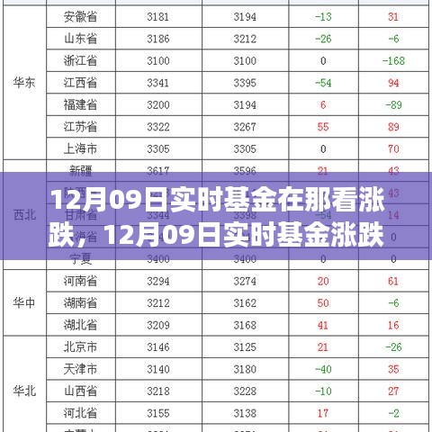 12月09日实时基金动态，涨跌观察与解析