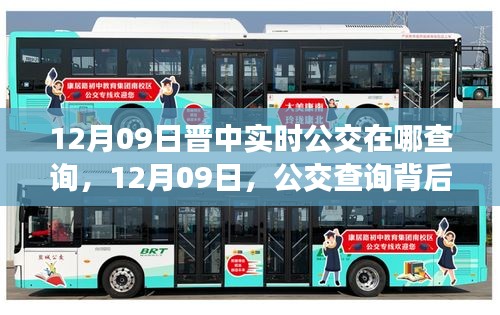 晋中实时公交查询指南，背后的暖心故事在12月09日显现