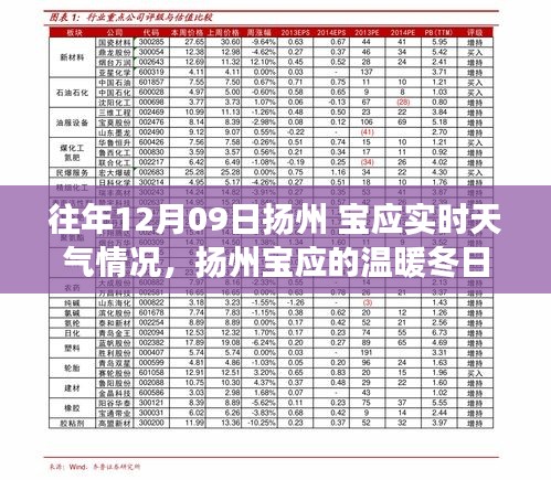 扬州宝应冬日友情故事，12月09日的实时天气与温暖情谊