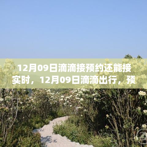 滴滴出行预约与实时体验，宁静之旅探秘