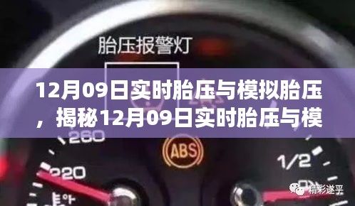 反朴归真 第2页