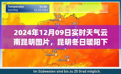 昆明冬日暖阳下的温情故事与实时天气图片 2024年12月09日