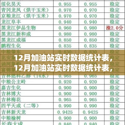 洞悉加油站行业趋势与经营细节，12月实时数据统计表全解析