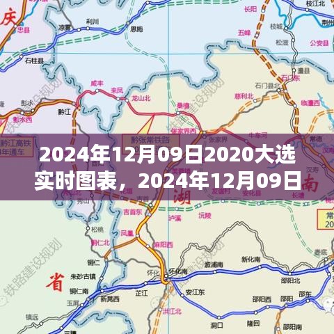 实时图表解析，全面评测与介绍2024年大选