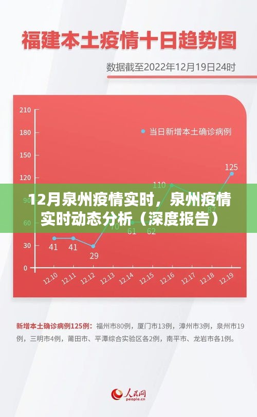 泉州疫情深度报告，实时动态分析与实时数据解读（十二月版）
