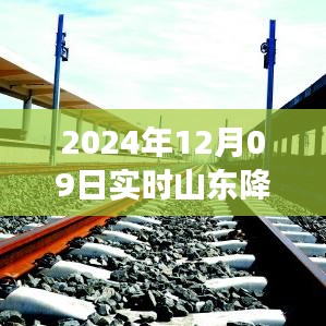 山东降雨分布图实时更新，掌握降雨动态，洞悉气象变化