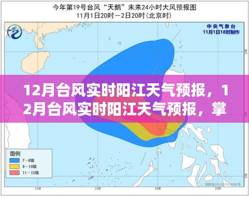阳江十二月台风实时天气预报，最新动态与防御准备