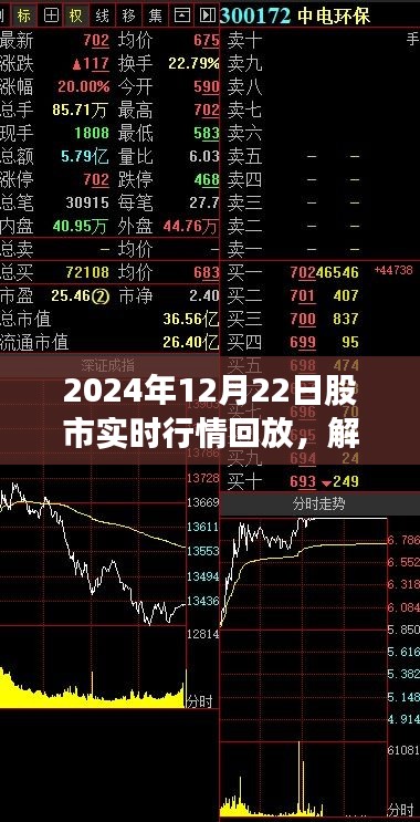 解码股市风云，深度回放与观点剖析——2024年12月22日股市实时行情回顾