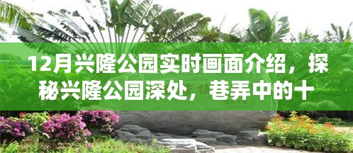 探秘兴隆公园，十二月巷弄小店的风景画实时呈现