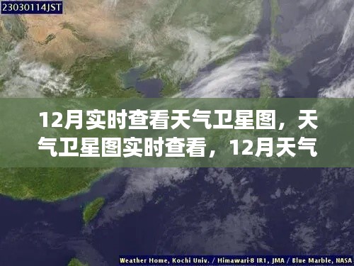 穷鸟入怀 第2页