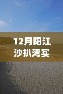 伤弓之鸟 第2页