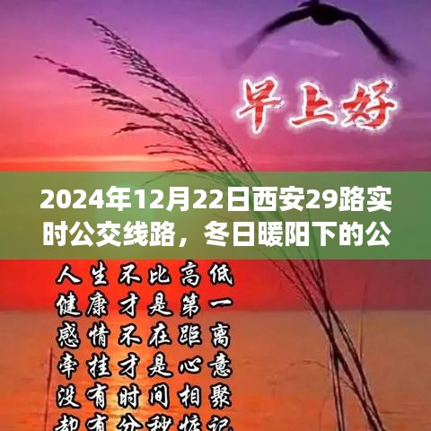 冬日暖阳下的西安29路公交车之旅，实时线路指南与温馨之旅（2024年12月22日）