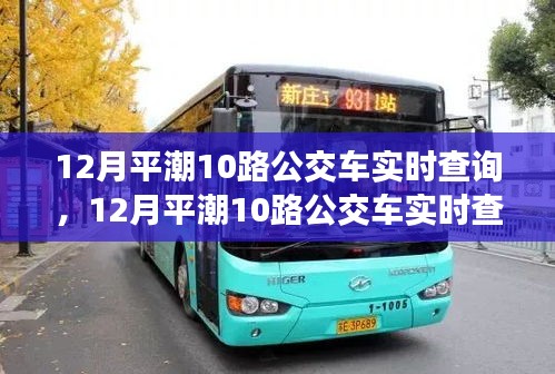 从新手到熟练者，12月平潮10路公交车实时查询完全指南