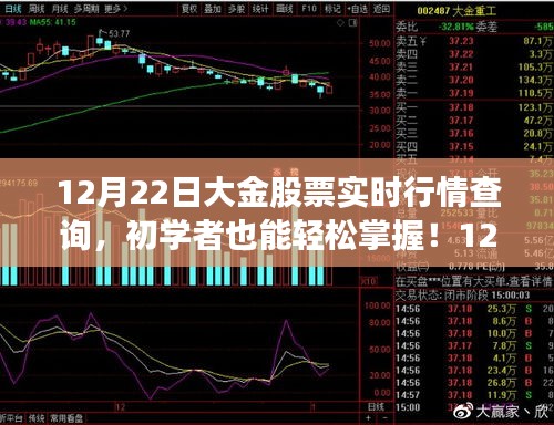 12月22日大金股票实时行情查询全攻略，初学者也能轻松掌握