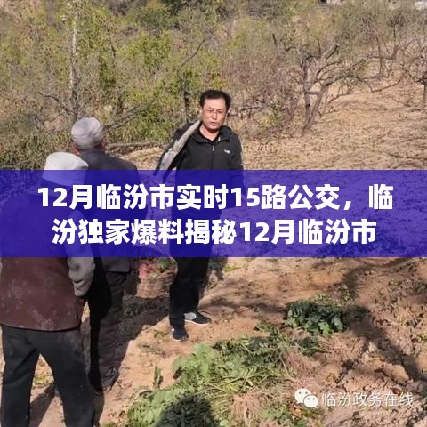 揭秘临汾市实时公交15路，冬季温暖之旅的独家爆料