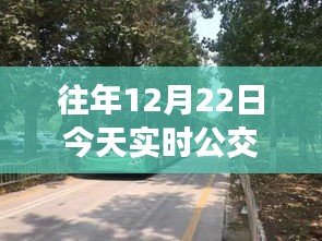 12月22日公交之旅，探索自然美景，寻找内心平静的力量