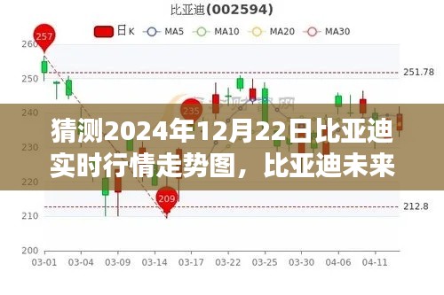 独家解析，比亚迪未来行情展望，预测2024年12月22日走势图及市场趋势分析