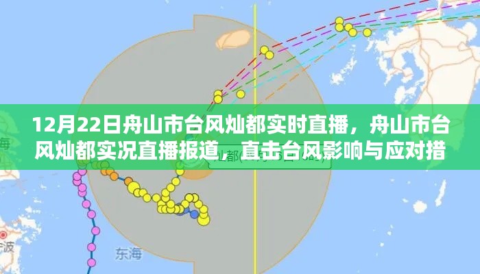 舟山市台风灿都实况直播报道，台风影响与应对措施直击​​