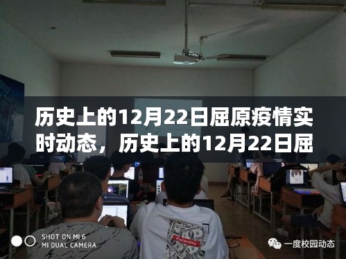 历史上的12月22日屈原疫情实时动态，全面解析与行动指南