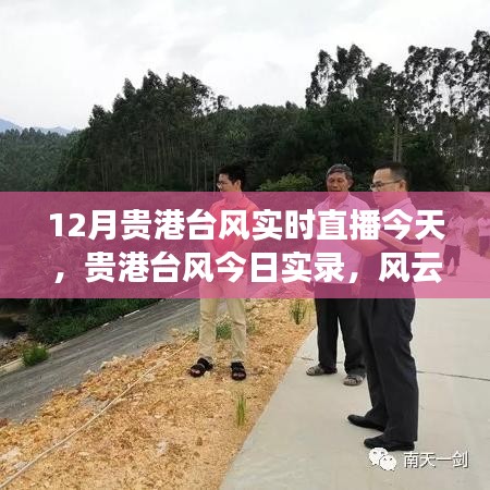 贵港台风风云激荡实录，今日台风实录与实时直播报道