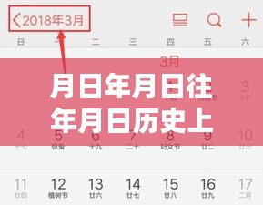 历史与未来，月日月日的时间线探索