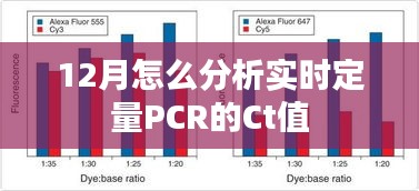 实时定量PCR的Ct值分析指南，解读十二月数据