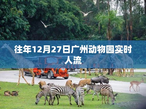 广州动物园往年年末人流实况