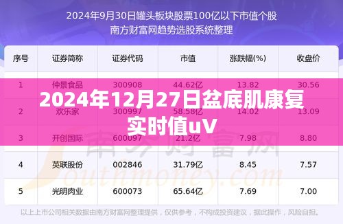 项目介绍 第212页