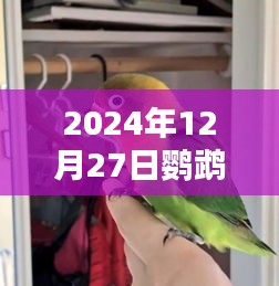 大事夸张 第2页