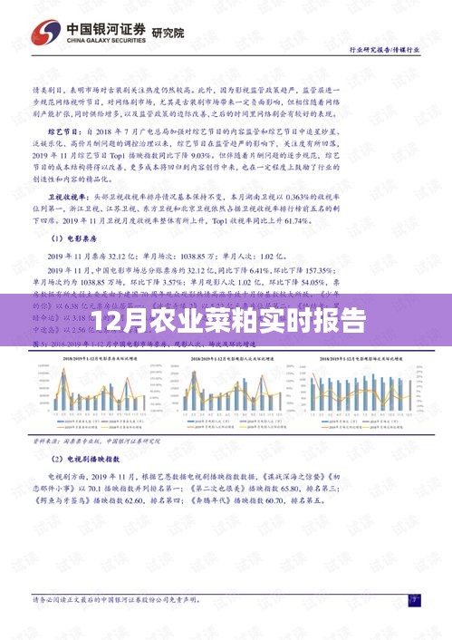农业菜粕市场报告，最新实时动态分析