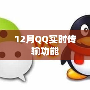 QQ实时传输功能介绍，高效文件传输新体验